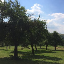 Ferienwohnung Bauernhof Nüse