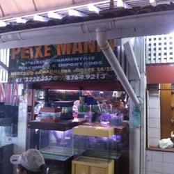 Peixe Mania