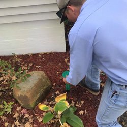 Plank Termite and Pest Control