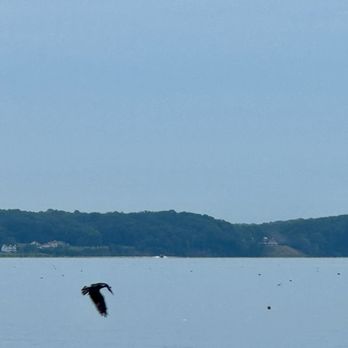 Little Ferry Inn - Osprey - Vacation Rentals Near Me - King George, Virginia