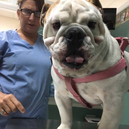 Happy dog at the vet! Happy dog at the vet!
