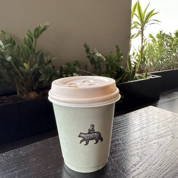 The Boy & The Bear - Coffee & Tea Near Me - Pasadena, California The Boy & The Bear - Coffee & Tea Near Me - Pasadena, California