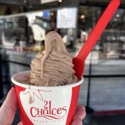 21 Choices Frozen Yogurt