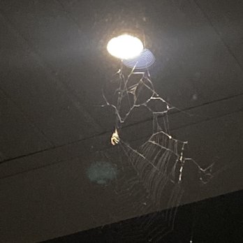 The Heights Haverhill - Massive spiders on my balcony - Apartments Near Me - Haverhill, Massachusetts The Heights Haverhill - Massive spiders on my balcony - Apartments Near Me - Haverhill, Massachusetts