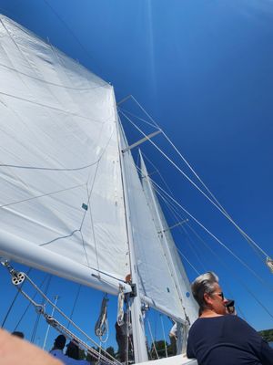 Schooner Woodwind Sailing Cruises by null