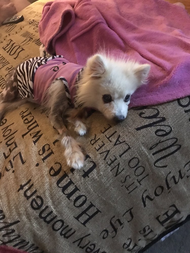 BLACK DOG CLUB Updated June 2024 29 Photos 1000 Freedom Rd