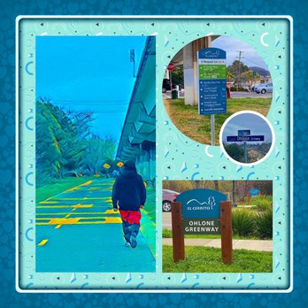 Ohlone Greenway - Montage of images from the Ohlone Greenway - Parks Near Me Ohlone Greenway - Montage of images from the Ohlone Greenway - Parks Near Me