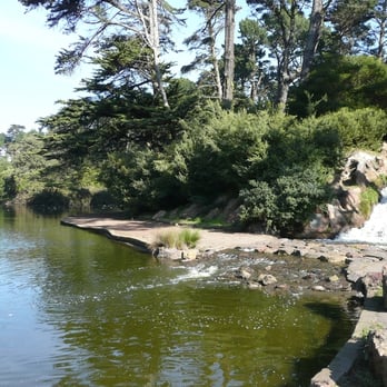 Lloyd Lake - Lakes Near Me - San Francisco, California