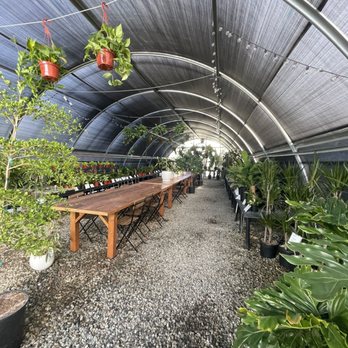 Curby's Nursery - Nurseries & Gardening Near Me - Temecula, California
