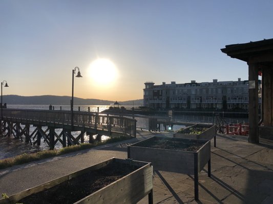 Hudson Farmer & The Fish Restaurant by null