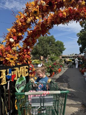 Green's Produce and Plants by null