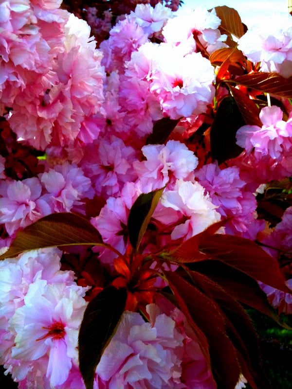 WEBSTER BANK 200 Division St, Ansonia, Connecticut Banks & Credit