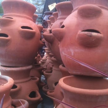 Fred Meyer - Strawberry pots on sale. - Department Stores Near Me - Seattle, Washington Fred Meyer - Strawberry pots on sale. - Department Stores Near Me - Seattle, Washington