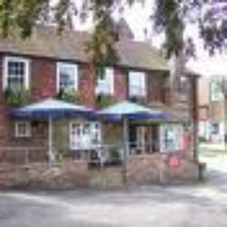 Red Lion