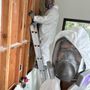 Photo of SOS Contractor Services