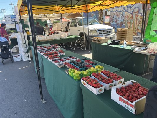 West Oakland Farmers Market by null
