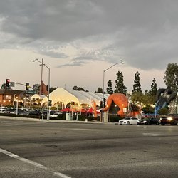 Mr Jack O' Lanterns Pumpkins - Rain or shine we got you "covered"