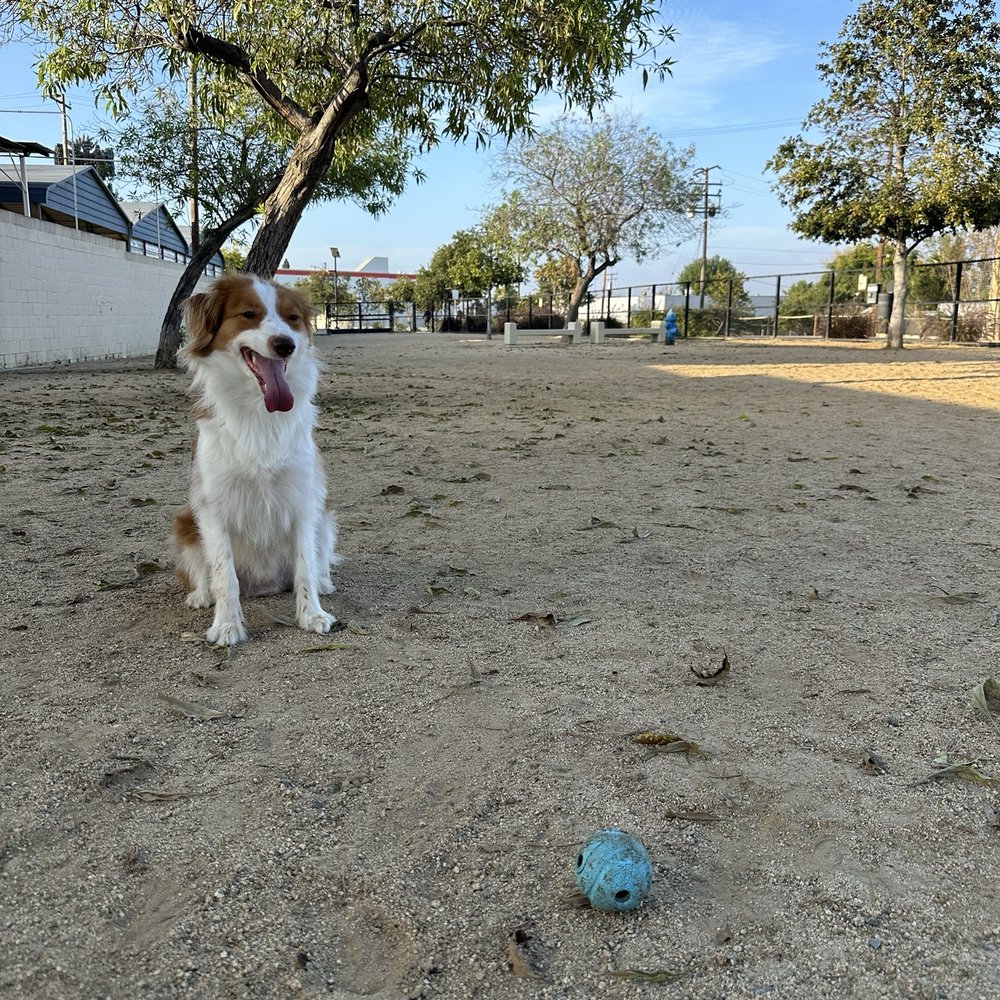 Whittier Dog Park - Dog Parks Near Me - Whittier, California Whittier Dog Park - Dog Parks Near Me - Whittier, California