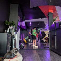 Best studio in San Francisco! Featuring Milu