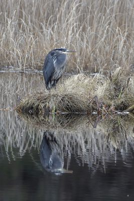 Otters Pond Bed and Breakfast by null