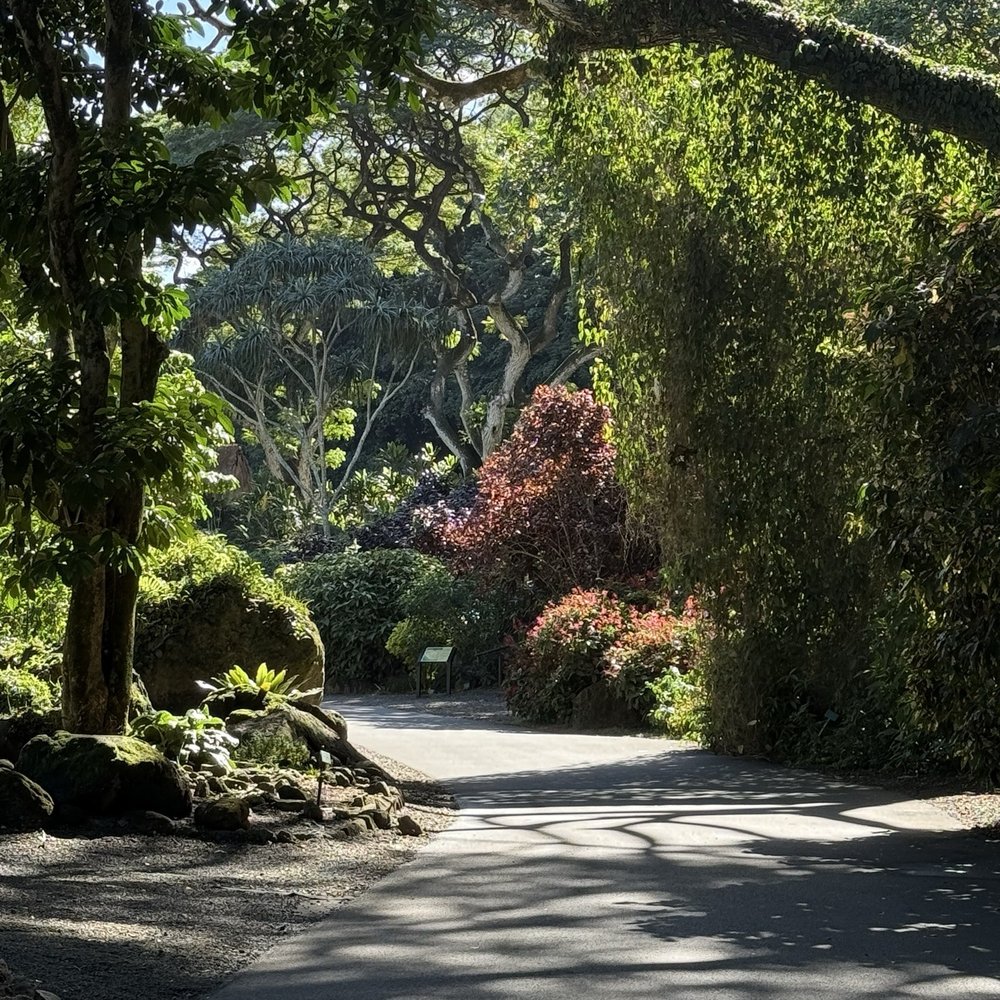 Go Tours Hawaii - Bus Tours Near Me - Honolulu, Hawaii Go Tours Hawaii - Bus Tours Near Me - Honolulu, Hawaii