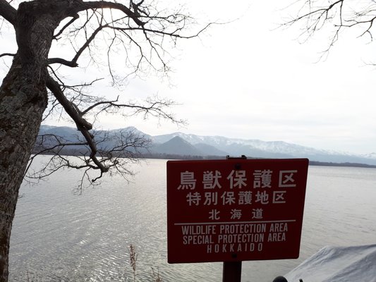 Lake Kussharo by null