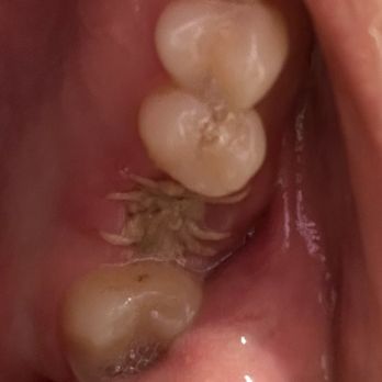 Daniel W. K. Kao DMD - Periodontists Near Me - Reading, Massachusetts