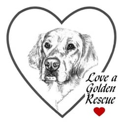 Love A Golden Rescue