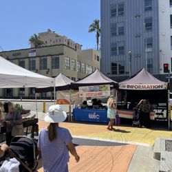Farmers Market - Information booths