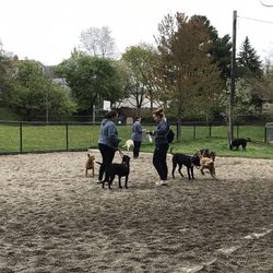 Watertown Dog Park