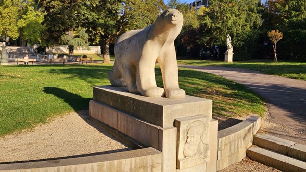 Darcy Garden by null