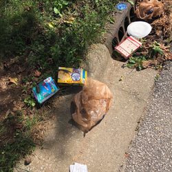 Monster Trash