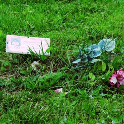 Ellsworth Cemetery