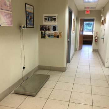 Shore Veterinarians - Veterinarians Near Me - Harbor Township, New Jersey Shore Veterinarians - Veterinarians Near Me - Harbor Township, New Jersey