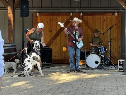 Flying Flags RV Resort & Campground by null