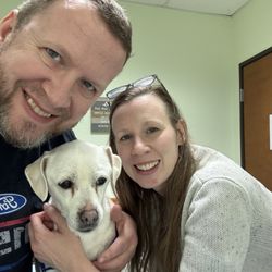 Pet Health Center - Joy 1 day after surgery - We were able to visit and feed her.