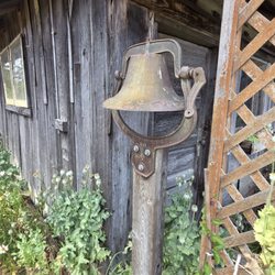 Lavender Connection