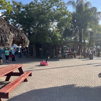 Robert Is Here - Fruits & Veggies Near Me - Homestead, Florida Robert Is Here - Fruits & Veggies Near Me - Homestead, Florida