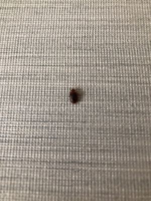 イーホテル東新宿 by null