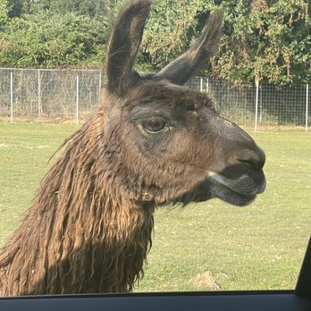 Nova Wild - Petting Zoos Near Me - Vienna, Virginia