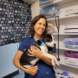 Ponderosa Veterinary Clinic
