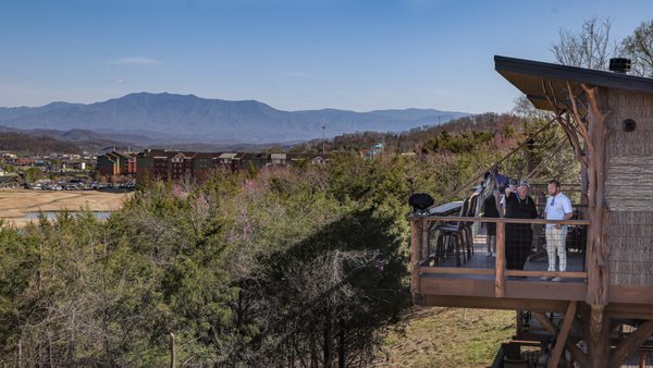 Sanctuary Treehouse Resort by null