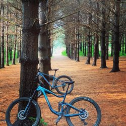 Charles D Owen District Park