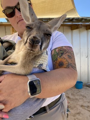Alabama Gulf Coast Zoo by null