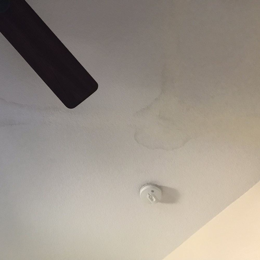 Roof Doctors - Damaged ceiling - Roofing Near Me Roof Doctors - Damaged ceiling - Roofing Near Me