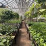 Photo of New Utrecht Garden Center