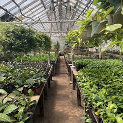 New Utrecht Garden Center - GreenHouse