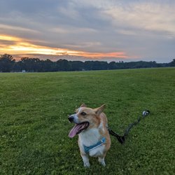 Thompson Dog Park