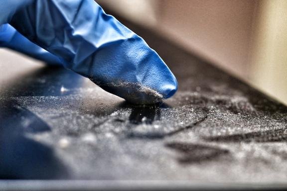 Mold Solutions - Saint Louis - mold inspector in St. Louis, MO