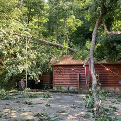 Tree Hero - Emergency storm work.